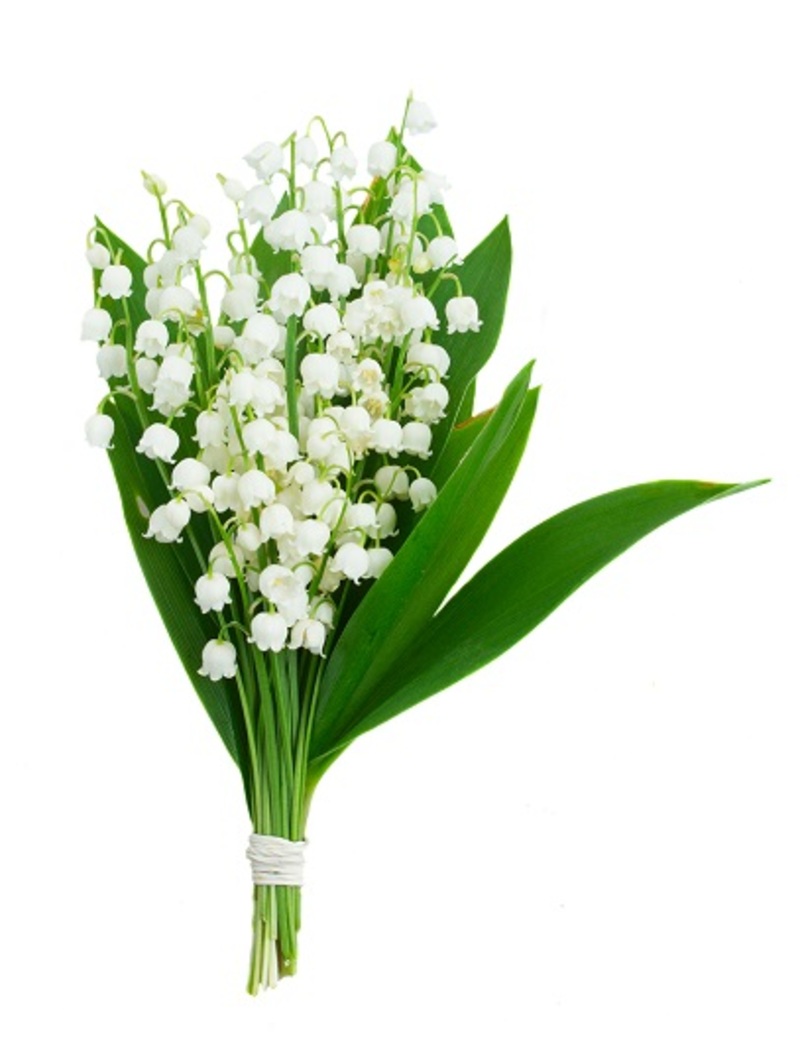 Bouquets flowers